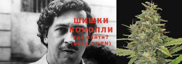 винт Нея