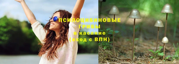 винт Нея