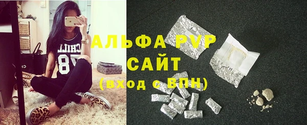 a pvp Новозыбков