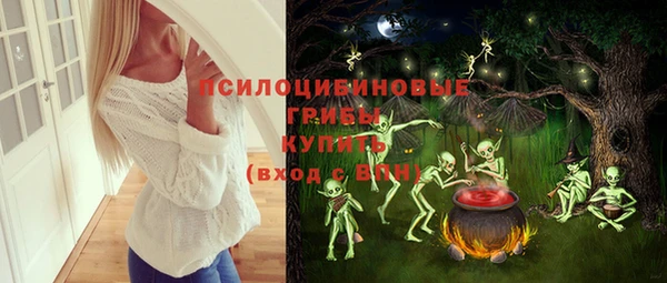 ешки Новокубанск