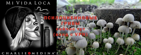кокс Абаза