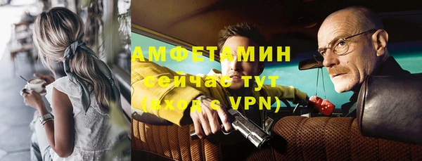 a pvp Новозыбков