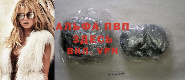 a pvp Новозыбков