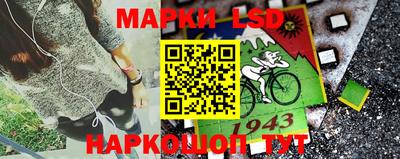 Альфа ПВП Обнинск