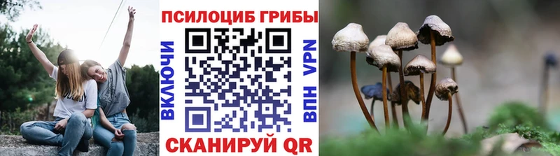 Галлюциногенные грибы Magic Shrooms Советская Гавань