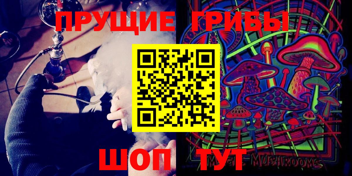 закладка  Галлюциногенные грибы мицелий  Вход с VPN  Советская Гавань  Псилоцибиновые грибы Psilocybe 