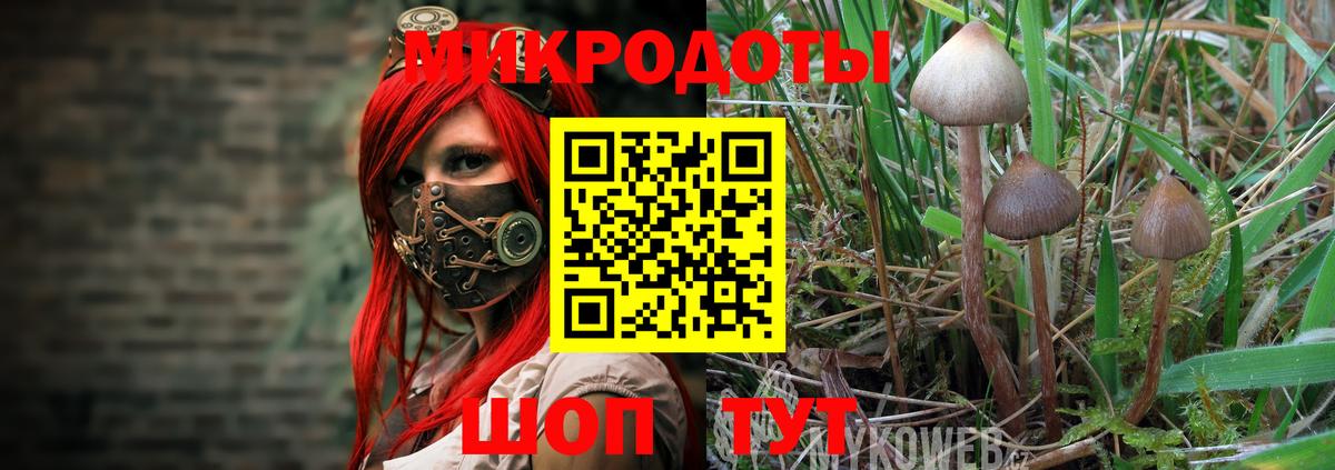 Галлюциногенные грибы Magic Shrooms  Советская Гавань 